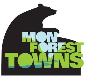 Mon Forest bear logo